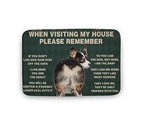 Dog When Visiting My House Please Remember Dog Front Door Mat Welcome Mats for Home Entrance Durable Non Slip Rubber Patio Entryway Doormat Gift for Women Men 16x24 Inch