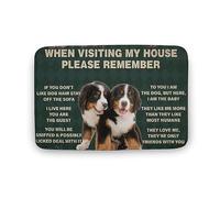 Dog When Visiting My House Please Remember Dog Home Decor Doormat Funny Door Mat Welcome Mats Indoor Outdoor Entry Front Door Entryway Mats Gift for Women Men 16x24 Inch