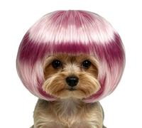 Dog Wigs Breathable Adjustable Realistic Costume Hair with Elastic Strap | Wigs Cats for Halloween Cosplay Cat Party Photo Prop Costume Decoration Christmas Festival
