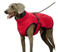 Dog Winter Jacket, Reflective Cotton, Thick Padded Winter Coat for Dogs, for Walks, Hiking, Skiing, Outdoor Activities, Park Visits, Camping, City Stroll