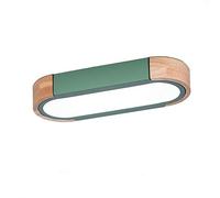 DOGACA Modern Green LED Ceiling Light Fixture With Remote Rectangle Dimmable Ceiling Lamp Flush Indoor Ceiling Lamp For Kitchen Hallway Entry Hearth-Green and white light 35 * 14cm