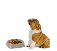 DogCentreⓇ 2x Grey 0.2L Plastic NonSlip Dog Puppy Pet Animal Feeding Food Water Bowl Dish UK