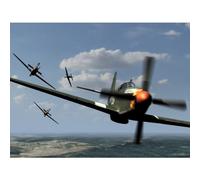 Dogfights: No Room for Error [DVD] [Region 1] [US Import] [NTSC]
