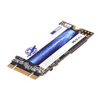 Dogfish M.2 2242 250GB Internal Solid State Drive Laptop Hard Drive M2 (250G)