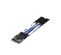 Dogfish M.2 2280 60GB 120GB 240GB 480GB 1TB Internal Solid State Drive MLC TLC Laptop Hard Drive M2 (256GB)