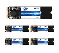 Dogfish M.2 SSD 64GB SATA III 6 Gb/s, M.2 (2280mm) Internal Solid State Drive - Compatible with Desktop PC Laptop (M.2 2280, 64GB*5Pack)