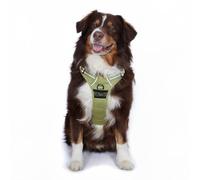 Doggie Design Venture Paw No Pull Dog Harness - Simple Adjustable Puppy Harness - Anti Pull Dog Collar for Walks and Outdoor Adventures - Aspen, XL