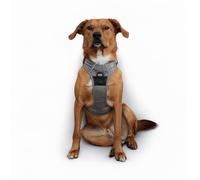 Doggie Design Venture Paw No Pull Dog Harness - Simple Adjustable Puppy Harness - Anti Pull Dog Collar for Walks and Outdoor Adventures - Mountain Lake, L