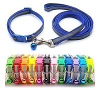 Doggie Style Store Small Dog Puppy Pet Collar and Lead Set Reflective Hi-Vis Strip Nylon Adjustable Size 19-32cm Collar with Bell and 120cm Leash Blue