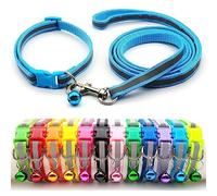 Doggie Style Store Small Dog Puppy Pet Collar and Lead Set Reflective Hi-Vis Strip Nylon Adjustable Size 19-32cm Collar with Bell and 120cm Leash Light Blue