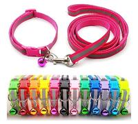 Doggie Style Store Small Dog Puppy Pet Collar and Lead Set Reflective Hi-Vis Strip Nylon Adjustable Size 19-32cm Collar with Bell and 120cm Leash Rose