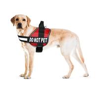 Doggie Stylz B00BOWR2OU