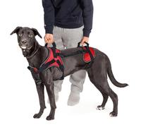 Doggie Stylz Multi-Functional Full-Body Lifting Dog Harness Vest, Designed for Front-Only, Rear-Only or Full-Body Dog Lifting , L