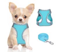 DoggieKit Dog Harness for Small Medium Dogs No Pull Adjustable Step in Puppy Harness and Leash Set,Reflective Breathable Mesh Pet Harnesses Soft Padded Vest for Dogs Cats Easy to Put on