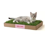 DoggieLawn Real Grass Cat Window Lounge Bed, 24 X 9 Inches, Green