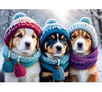 Doggies in the Winter