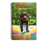 Dogma