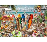 Dogs and Cats at the Beach