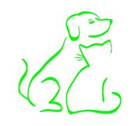 Dogs are Man's Best Friend But A Dog's Best Friend Might Be A Cat Vinyl Decal Car Sticker Motorcycle Sticker(Green,30X30CM)