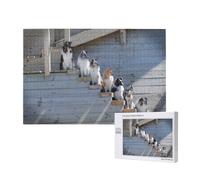 Dogs Border Collie Shetland SheepDogs Alaskan,1000 Pieces Wooden Jigsaw Family Game Jigsaw Puzzles for Adults Teens Home Decor