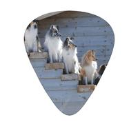 Dogs Border Collie Shetland SheepDogs Alaskan,12 Pcs Guitar Pick,3 Different Thickness Plectrums for Acoustic Guitar Bass Ukulele (0.46mm 0.96mm 0.71mm)