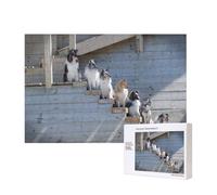 Dogs Border Collie Shetland SheepDogs Alaskan,300 Pieces Wooden Jigsaw Family Game Jigsaw Puzzles for Adults Teens Home Decor