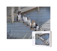 Dogs Border Collie Shetland SheepDogs Alaskan,500 Pieces Wooden Jigsaw Family Game Jigsaw Puzzles for Adults Teens Home Decor
