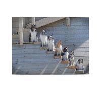 Dogs Border Collie Shetland SheepDogs Alaskan Adults 500 Pieces Puzzles-Jigsaw Wooden Puzzle for Adults Elderly