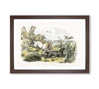 Dogs Chasing Ducks by Henry Alken Framed Print | A2 Walnut Framed Wall Art | Ready to Hang | Modern Animal Picture | Living Room Bedroom Lounge Office
