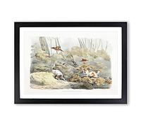 Dogs Chasing Pheasants by Henry Alken Framed Print | A2 Black Framed Wall Art | Ready to Hang | Modern Animal Picture | Living Room Bedroom Lounge Office