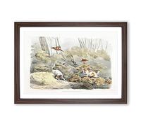 Dogs Chasing Pheasants by Henry Alken Framed Print | A2 Walnut Framed Wall Art | Ready to Hang | Modern Animal Picture | Living Room Bedroom Lounge Office