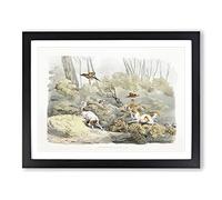 Dogs Chasing Pheasants By Henry Alken Vintage Framed Print | A2 Black Framed Wall Art | Ready to Hang | Classic Animal Picture | Living Room Bedroom Lounge Office