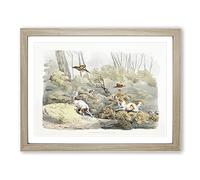 Dogs Chasing Pheasants By Henry Alken Vintage Framed Print | A2 Oak Framed Wall Art | Ready to Hang | Classic Animal Picture | Living Room Bedroom Lounge Office