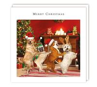 Dogs Conga Christmas Party Animals - Rainbow Trust Charity Christmas 160x160mm Pack of 10 Large Xmas Cards (Dog's Conga)