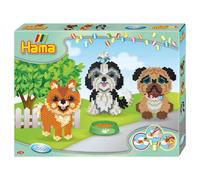 Dogs Delight Gift Box