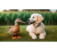 Dogs Ducks Wooden Puzzle Art Fun Challenging Educational Home Decor Gift for Men Women_1000pcs