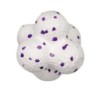 Dogs Emotional Support Ball - Light Weight Dog Chew Toys,Emotional Support Ball Calming Ball Gentle for Small Medium Large Dog