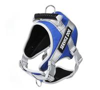 Dogs Harness And Leash Reflective Dog For Large Adjustable Lead No Pull Dog Vest Walking And Set