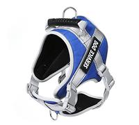Dogs Harness And Leash Reflective Dog For Large Adjustable Lead No Pull Dog Vest Walking And Set