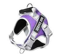 Dogs Harness And Leash Reflective Dog For Large Adjustable Lead No Pull Dog Vest Walking And Set