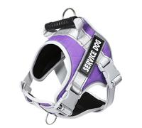 Dogs Harness And Leash Reflective Dog For Large Adjustable Lead No Pull Dog Vest Walking And Set