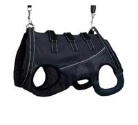 Dog's Hind Leg Injured Walking Belt, Summer Breathable & Washable Dog Lift Harness, Pets Mobility Aids/Emergency Sling/Pet Walking Assistive Strap(Blue,S)