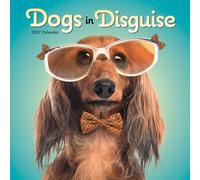 Dogs in Disguise Wall