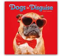 Dogs in Disguise Wall Calendar 2025 (PFP)