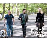 Dogs in the City - Season 1