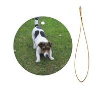 Dogs Playing On The Lawn Elegant Ceramic Christmas Ornament,Double-Sided Printed Round Bauble With Gold String For Xmas Tree,Holiday Home Decor (Set Of 1)
