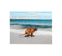 Dogs Pooping Calendar 2025 | 9.84 x 7.48 x 0.12 Inches Dog Calendar 2025 | Humor Presents Pooping Dog Calendar | Funny Dog Calendar 2025 Uk for Birthdays
