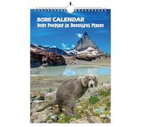 Dogs Pooping in Beautiful Places Calendar 2026, Funny Dogs Pooping Calendar Silly Gifts, Rude Christmas Birthday Secret Santa Ideas Wall Monthly Planner Presents for Men Women - A4