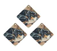 Dogs Sleeping in The House Car Air Freshener, 3 Pcs Rhombus Hanging Air Freshener Cards, Long Lasting Fragrance Scented Cards for Car, Home, Office Black-style