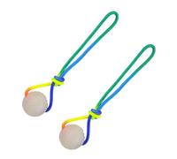 Dogs Training Interactively Educational Toy Flashing Elastics Ball Glowing Ball for Teething Puppies and Active Reflective Chewing Heavy Type Puppy Teething Promotes Dentals Health and Mental